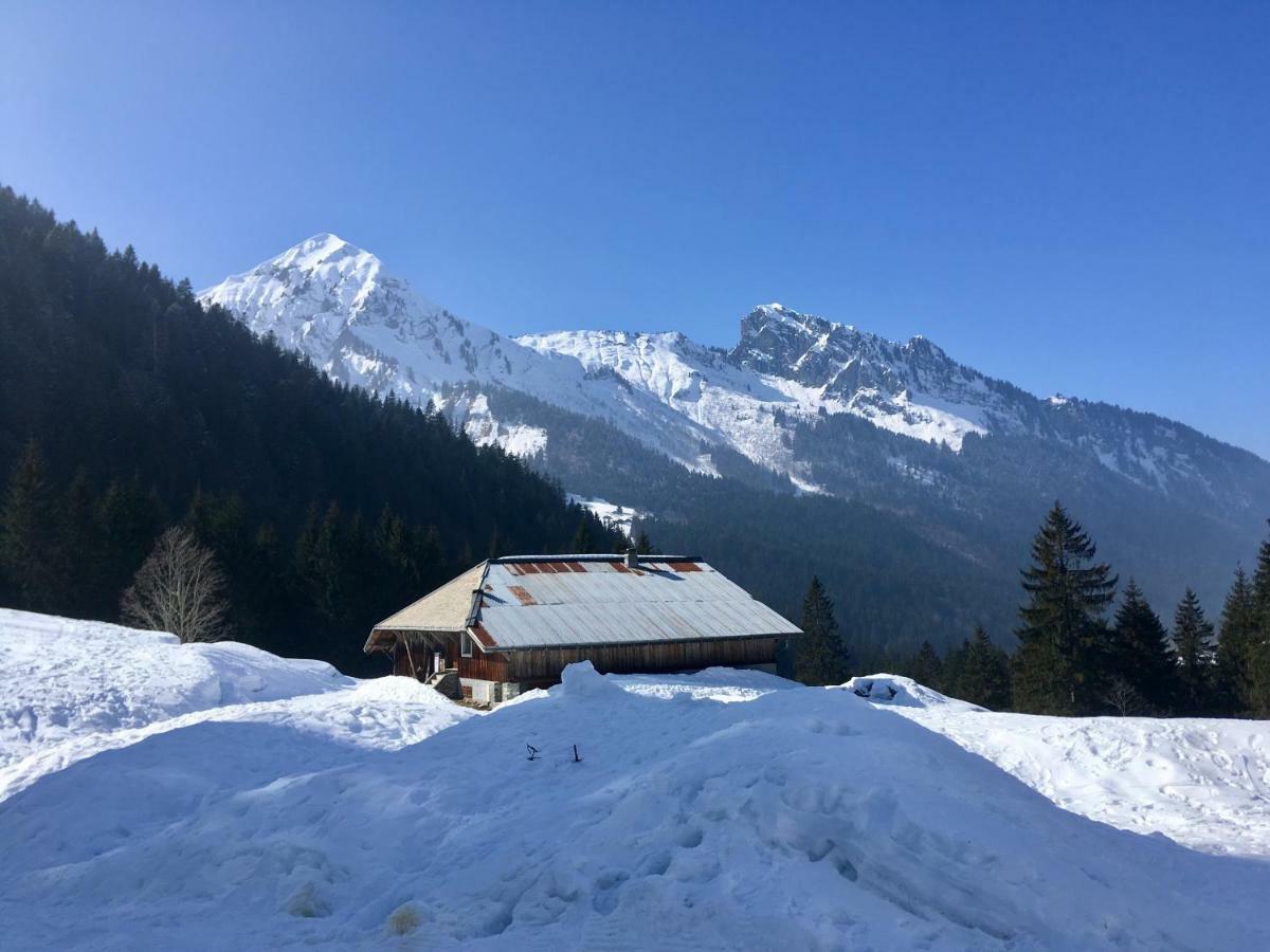 Chalet Marmotte 2 Morzine Exterior foto